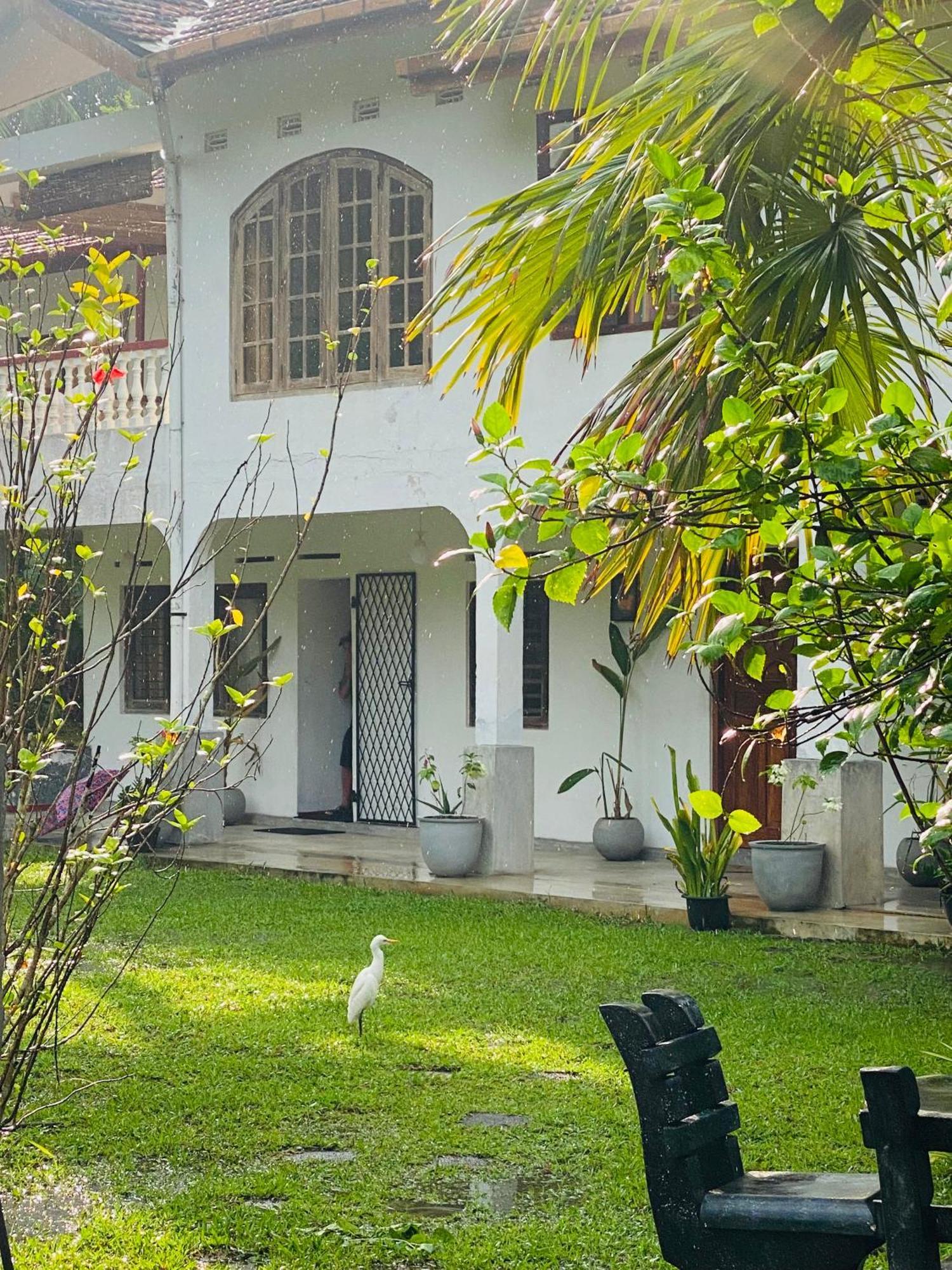 Sunny'S Garden Hotel Ambalangoda  Kültér fotó